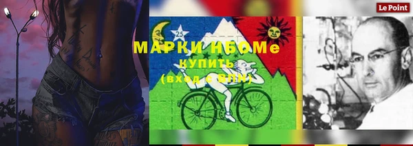 дмт Алексин