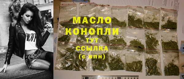 дмт Алексин