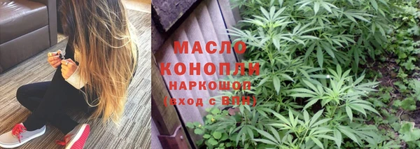 дмт Алексин