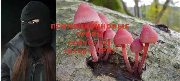 дмт Алексин