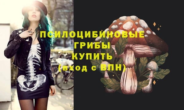 дмт Алексин