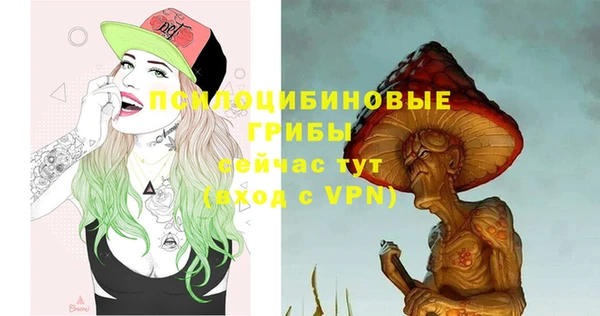 дурь Алзамай