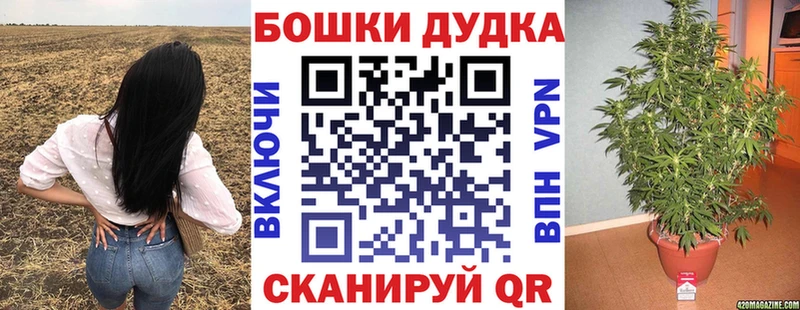 blacksprut как войти  Шадринск  Каннабис SATIVA & INDICA 